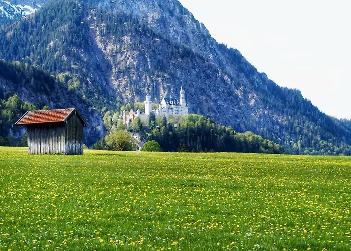 Marie שוונגאו